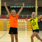 Meer leden, nieuwe verenigingen: handbal groeit in Nederland