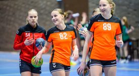 Nieuwe opzet, breder beeld: terugblik op scoutingsdagen Toplijn Centraal