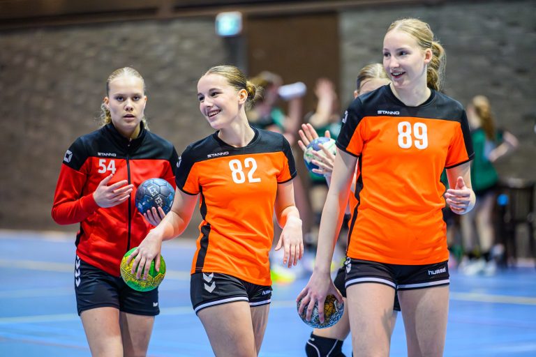 Nieuwe opzet, breder beeld: terugblik op scoutingsdagen Toplijn Centraal