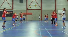 Samen werken aan passende handbalaccommodaties